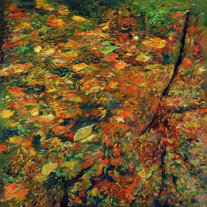 Autumn pond Daniel Heller